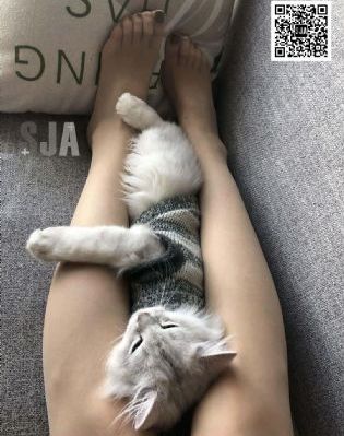 三年片免费完整观看高清动漫_1080在线手机播放