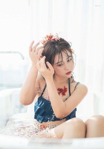胡狼来了_DVD在线观看电视