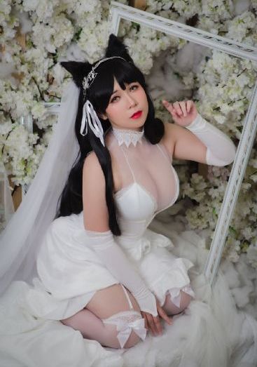 堕落天使在线观看免费完整版动漫_BD电影完整版